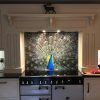 Peacock Splashback