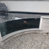 Koi carp behind curved pond glass